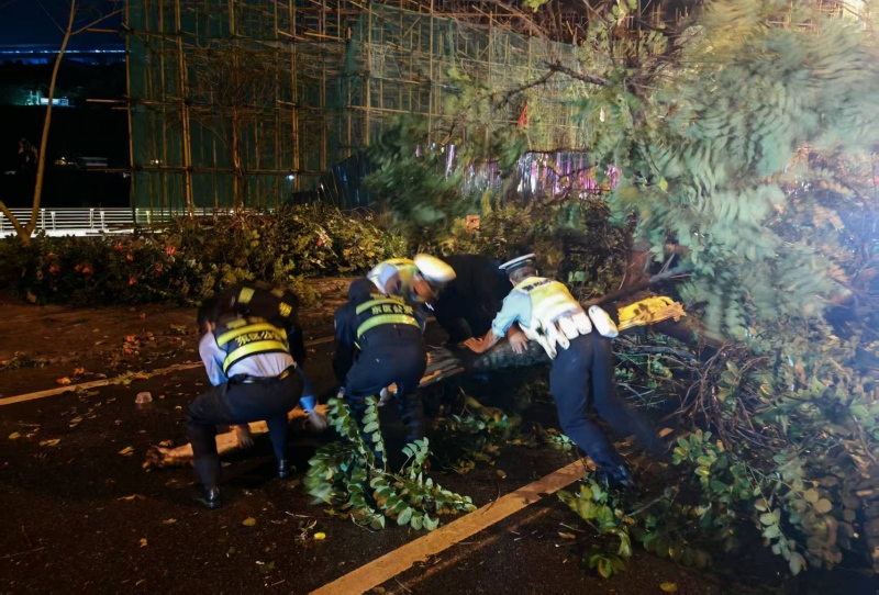 803d3ecf-6d5a-42e9-8b78-f76ddd297627.jpg 803d3ecf-6d5a-42e9-8b78-f76ddd297627.jpg