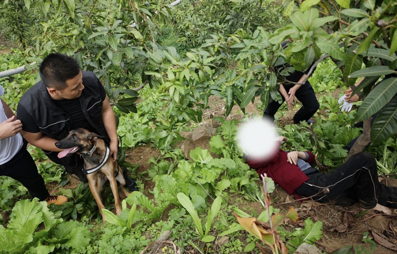 ceacd66f-1b76-4d08-8418-bdd216799215.jpg ceacd66f-1b76-4d08-8418-bdd216799215.jpg