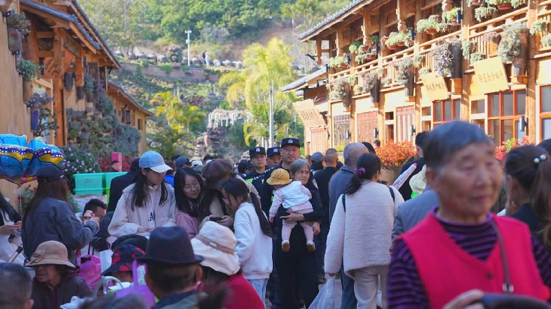 微信图片_2026-02-02_090202_925.jpg 微信图片_2026-02-02_090202_925.jpg