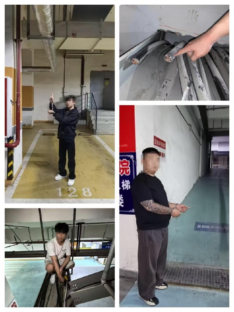 微信图片_2026-05-08_091811_389.jpg